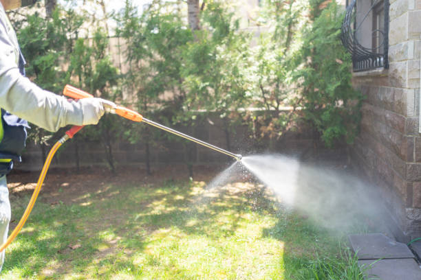 Lawn Pest Control in Lewisville, NC